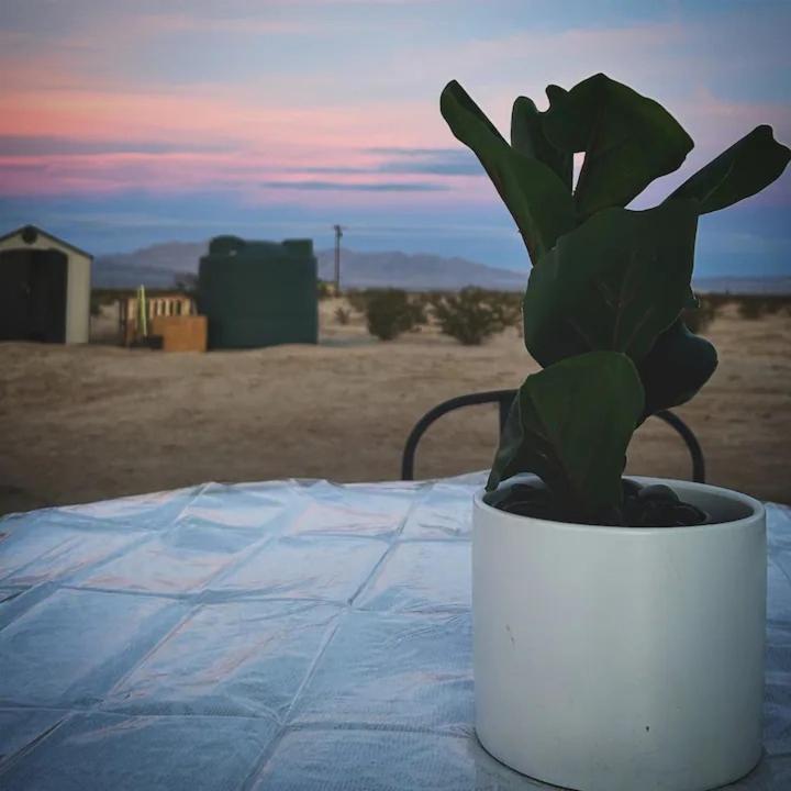 Serene Modern Home Backdoor With Great Wifi, Games, Movies, Patio Seating And Bbq Easy Access To North Joshua Tree National Park In 10 Minutes Туэнтинайн-Палмс Экстерьер фото